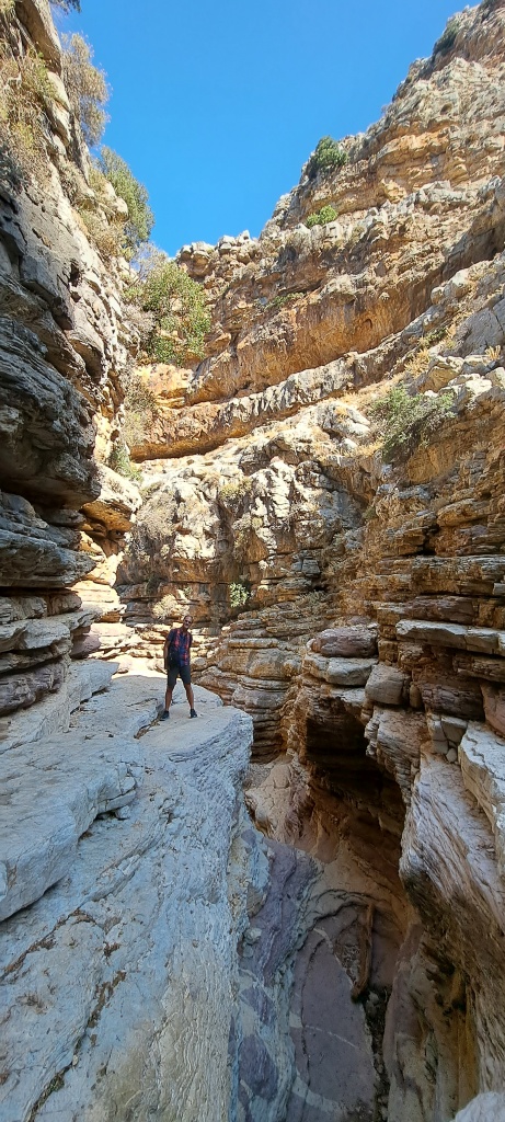 Jacobs Canyon
